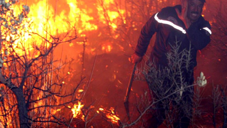 حرائق الغابات: توقيف 4 أشخاص بعين تموشنت