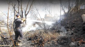 57 حريقا “يكوي” الجزائريين في 16 ولاية