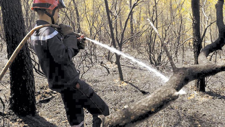 مجرمون أضرموا النيران وصوّروها بهواتفهم النقالة!