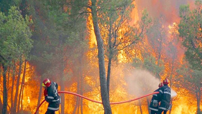 إصابة شخصين وخسائر مادية فادحة في سلسلة حرائق بقسنطينة