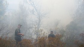 الوطنُ يحترِقُ!