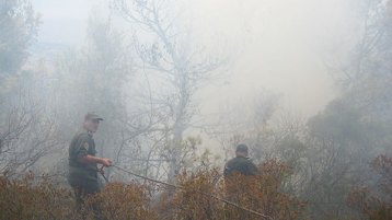 الوطنُ يحترِقُ!