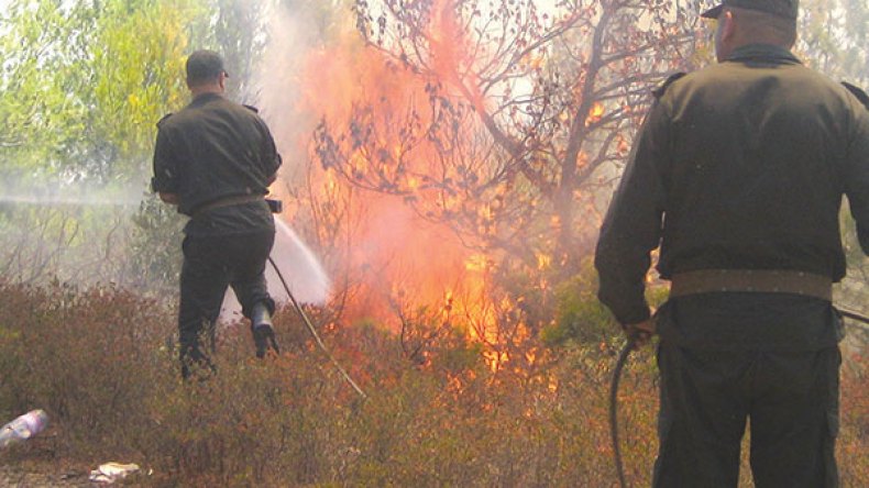 النيران تأتي على مساحات واسعة من الغطاء النباتي بتيزي وزو