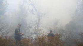 الحرائق وصلت إلى محمية بني صالح بقالمة والجيش يتدخل