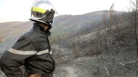 لماذا لا تعلن الجزائر.. الحِداد؟