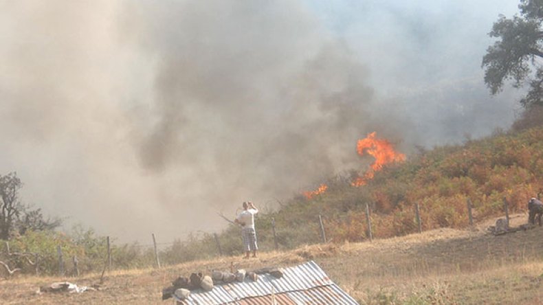 هلاك شخصين وجرح آخرين في حريق مهول بجبال سكيكدة