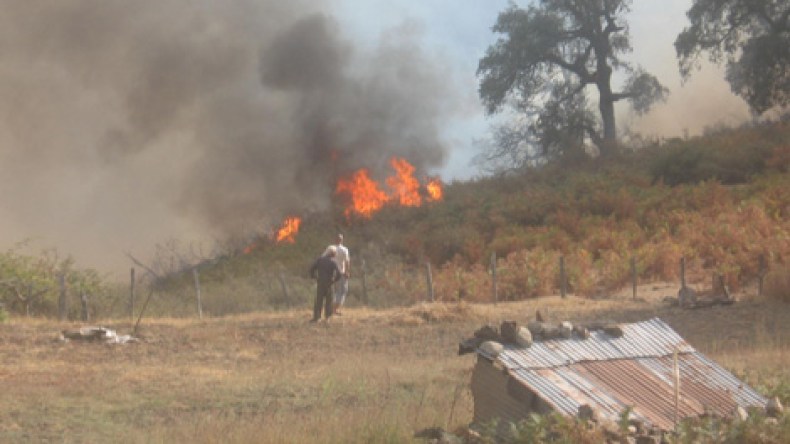 المدارس والمساجد لإيواء الهاربين من النيران