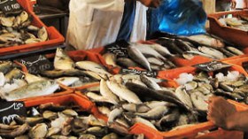 فوج عمل لكسر أسعار السمك وتنظيم سوق المسامك