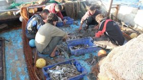 اتهامنا بإختراق المياه الإقليمية للمملكة مجرّد استفزاز للجزائر