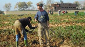 تعليمة بنكية بدل مرسوم وزاري لتطبيق قرار مسح ديون الفلاحين