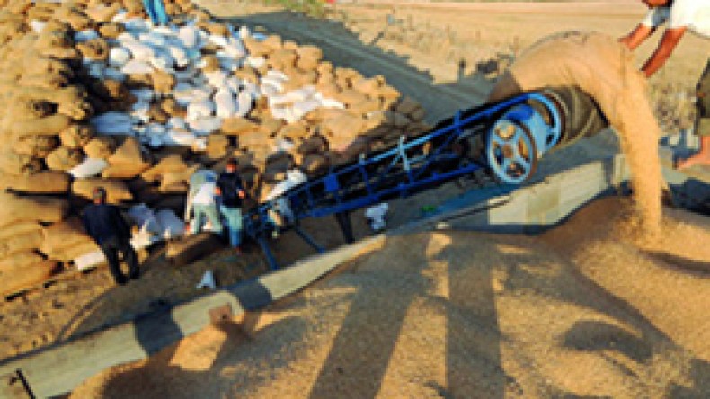 الدولة تشتري القمح من الفلاحين بتخفيض 50 دينارا عن كل قنطار