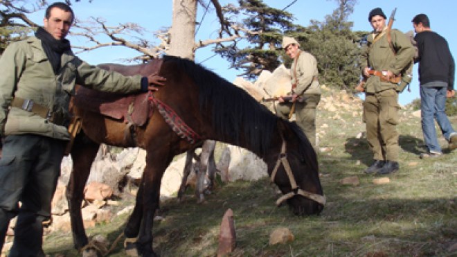 فيلم سنيمائي يصور حياة العقيد لطفي وبوتفليقة وبومدين