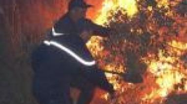 Algérie: 10.000 ha de maquis et forêts détruits par le feu en une semaine