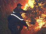 Algérie: 10.000 ha de maquis et forêts détruits par le feu en une semaine