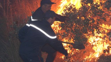 La canicule persistera jusqu’à jeudi : les feux de forêts étouffent les jeûneurs dans 6 wilayas