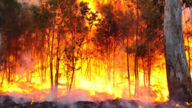 9حرائق تحاصر المواطنين بقرى بجاية