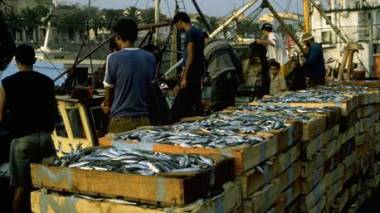 Algerian Fishermen ask for Compensations during the Biological Rest