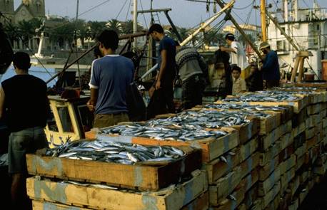 Algerian Fishermen ask for Compensations during the Biological Rest