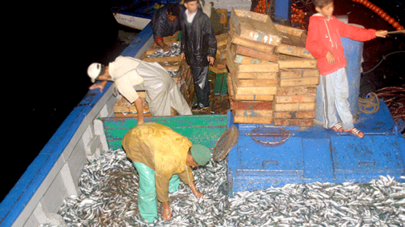 بلوط: صيادون يستخدمون الديناميت لصيد الأسماك