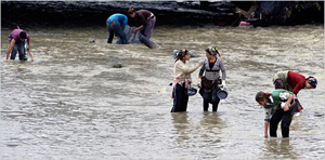 Turquie: 36 morts dans les inondations