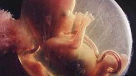 الطلبة والباحثون على موعد مع أوجه الإعجاز… وقافلة العلم والإيمان تسير