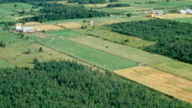 Algérie / Le gouvernement prend des dispositions fermes pour réguler le foncier.