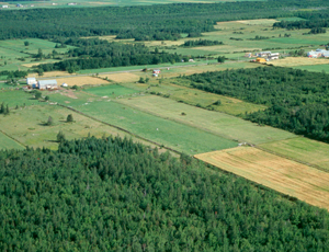 Algérie / Le gouvernement prend des dispositions fermes pour réguler le foncier.