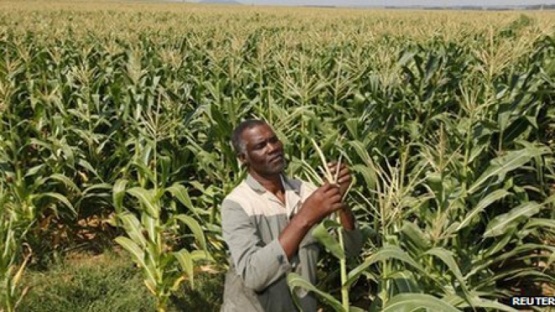 US to announce food security plan for Africa