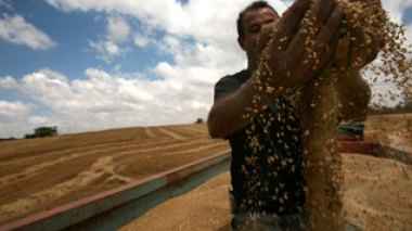 World food crisis: Algeria nothing to fear