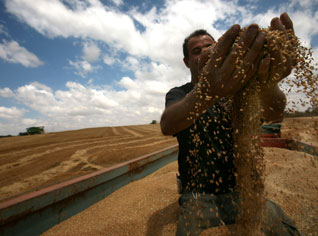 World food crisis: Algeria nothing to fear