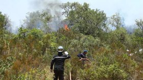 إصابة عونين من الحماية المدنية خلال إخماد حريق غابي بقسنطينة