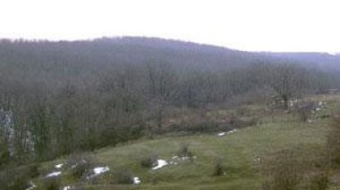 Algerian former ministers, big personalities divert lands belonging to National Forestry Department :report