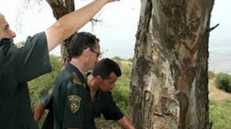 6 آلاف موظف بالأسلاك الخاصة بالغابات يستفيدون من تعويضات بين 6300 و8000 دينار