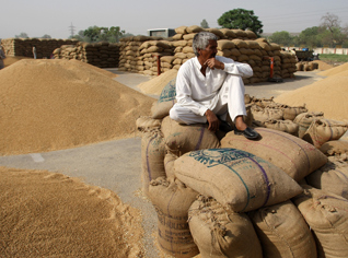 Algerian authorities to distribute lands for 200 thousand farmers
