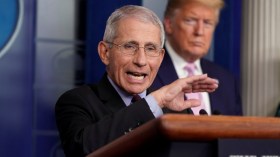 فاوتشي: أمريكا غارقة في الموجة الأولى من كورونا