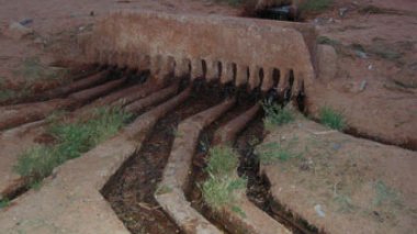 Les foggaras, un patrimoine national précieux à protéger