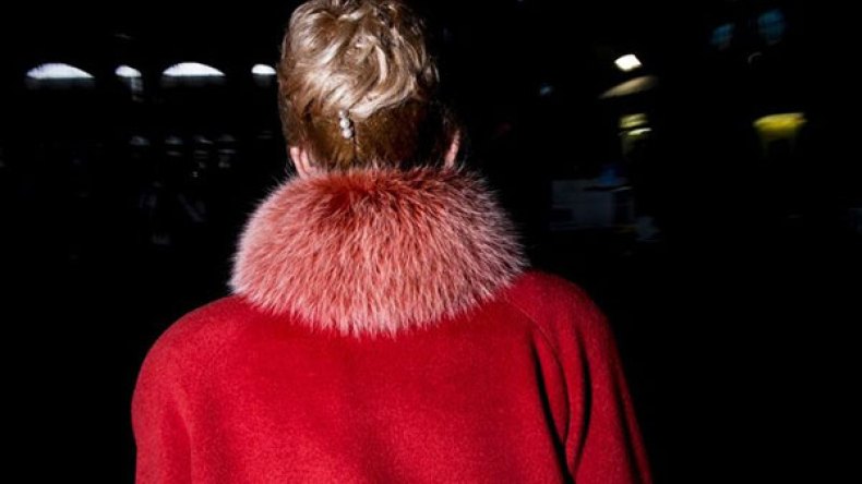 محبو الحيوانات يسعون لحظر ملابس الفرو النسائية