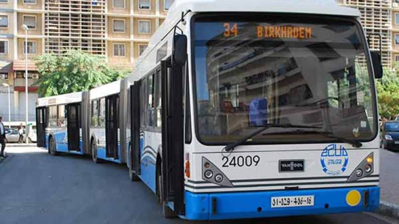 مواطنون يناشدون وزارة النقل التدخل وتنصيب مواقف جديدة