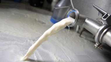 Hausse de la production de lait cru collecté en 2011