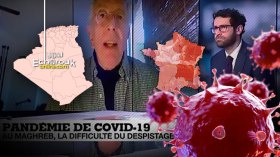 France Has Failed To Fight Corona Virus And Is Seeking To Export Its Dismal Failure To Algeria