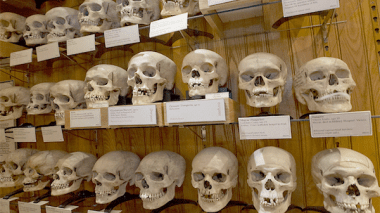 French Parliament Asks For Handing Over Skulls Of Algerian Resistance Fighters