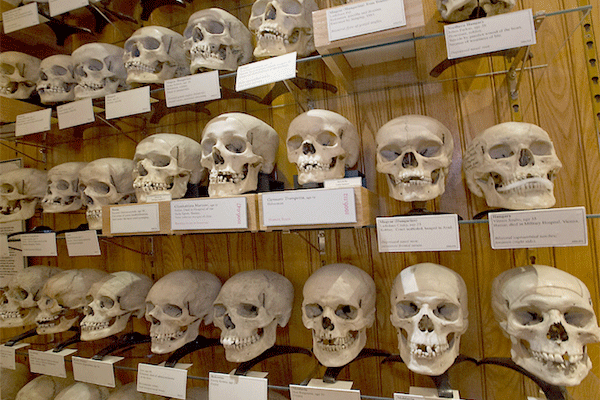 French Parliament Asks For Handing Over Skulls Of Algerian Resistance Fighters