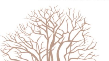 Vers un développement de la franchise en Algérie