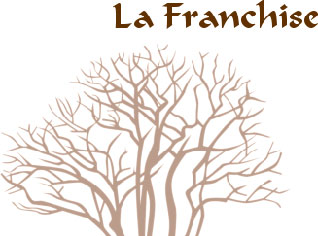 Vers un développement de la franchise en Algérie