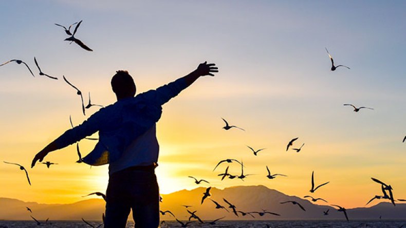 الحرية ليست واحدة!