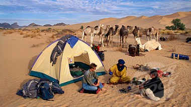 French tourists respond to their authorities: â€œIt is a shame to lie on us. Algeria is a safe countryâ€