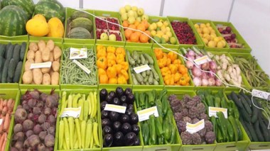 L’Algérie exporte vers la France des produits agricoles pour 11 millions de dollars