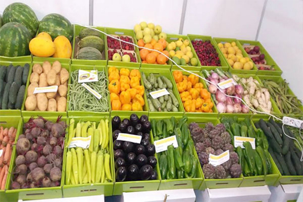 L’Algérie exporte vers la France des produits agricoles pour 11 millions de dollars