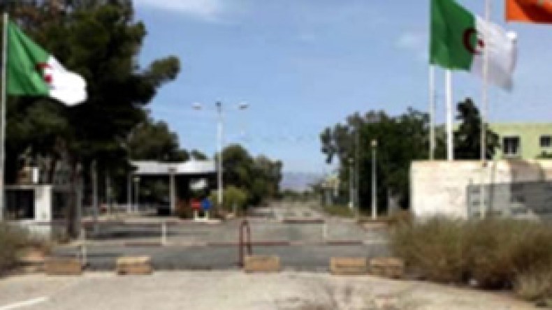 رئيس ديوان مكافحة المخدرات:فتح الحدود مع المغرب يكلفنا “غرق” البلاد بالحشيش