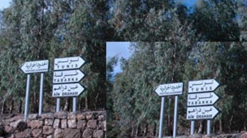 حجز  1.5 مليون لتر من الوقود المهرب الى المغرب